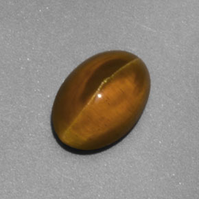 2,02 ctw natürlicher gelber Cat's Eye Apatite, Transparent, Transparent / Lichtdurchlässig