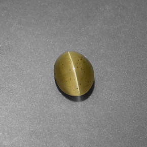 9,17 ctw natürlicher gold-grün Katzenaugen-Apatit, Transparent, Transparent / Lichtdurchlässig