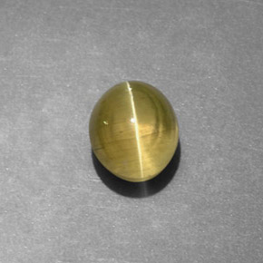 9,17 ctw natürlicher gold-grün Katzenaugen-Apatit, Transparent, Transparent / Lichtdurchlässig