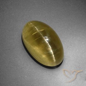 9,17 ctw natürlicher Erdiges Gelb Katzenaugen-Apatit, Oval, Lichtdurchlässig