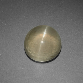 9,17 ctw natürlicher gelb-grün Katzenaugen-Apatit, Rund Schliff, Lichtdurchlässig