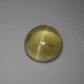 3,69 ctw natürlicher grüner Cat's Eye Apatite, Rundschliff, Lichtdurchlässig