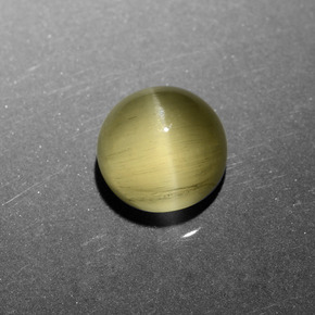 9,17 ctw natürlicher grünlich-gold Katzenaugen-Apatit, Rund Schliff, Lichtdurchlässig