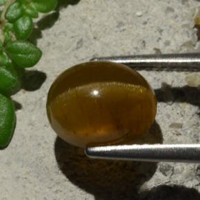 9,17 ctw natürlicher Orange Katzenaugen-Apatit, Oval Schliff, Lichtdurchlässig