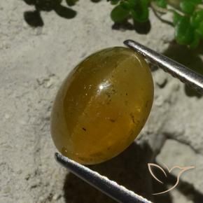 9,17 ctw natürlicher hellbraun Katzenaugen-Apatit, Oval, Lichtdurchlässig