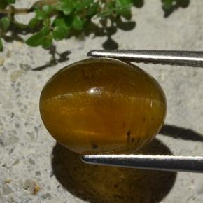 9,17 ctw natürlicher Mittel braun Katzenaugen-Apatit, Oval Schliff, Lichtdurchlässig