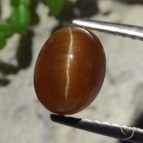 2,05 ctw natürlicher brauner Cat's Eye Apatite, Oval Schliff, Lichtdurchlässig