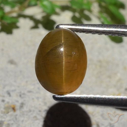 2.89ct Natürlicher Karamellbraun Katzenaugen-Apatit, Oval, Lichtdurchlässig