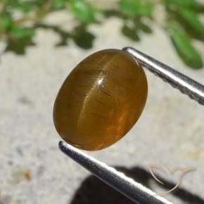9,17 ctw natürlicher Karamellbraun Katzenaugen-Apatit, Oval, Lichtdurchlässig