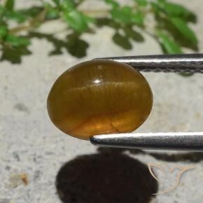 9,17 ctw natürlicher Karamellbraun Katzenaugen-Apatit, Oval, Lichtdurchlässig