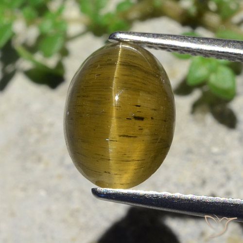 3.38ct Natürlicher Erdiges Gelb Apatit-Katzenauge, Oval, Lichtdurchlässig