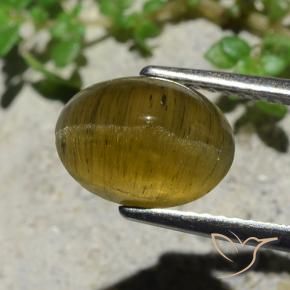 9,17 ctw natürlicher Erdiges Gelb Katzenaugen-Apatit, Oval Schliff, Lichtdurchlässig