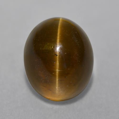 7,22 ctw natürlicher brauner Cat's Eye Apatite, Oval Schliff, Lichtdurchlässig