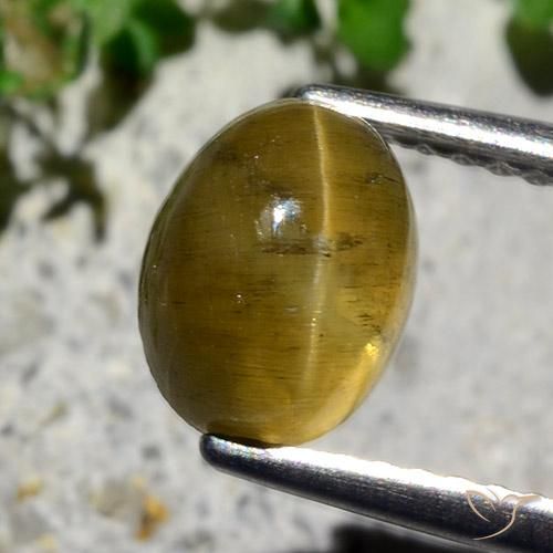 2.12ct Natürlicher Erdiges Gelb Apatit-Katzenauge, Oval, Lichtdurchlässig