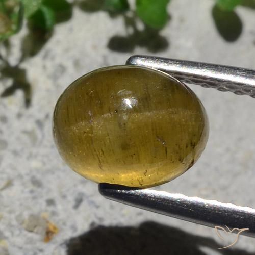 9,17 ctw natürlicher Erdiges Gelb Katzenaugen-Apatit, Oval, Lichtdurchlässig