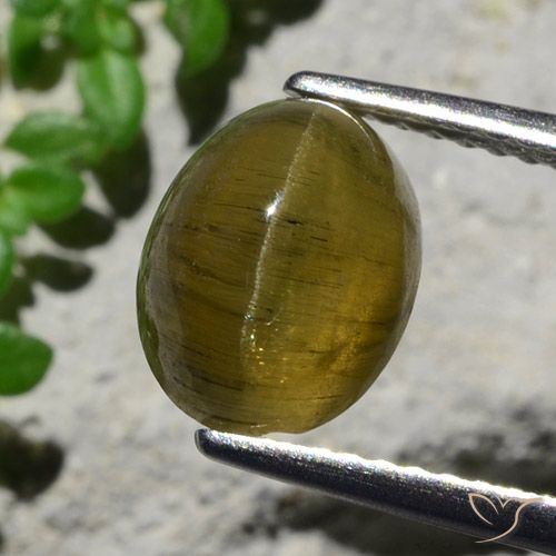 3.23ct Natürlicher Kaffee Braun Katzenaugen-Apatit, Oval, Lichtdurchlässig