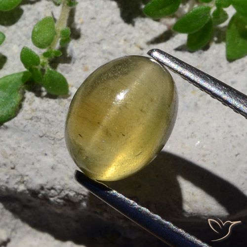 2.38ct Natürlicher hellgelb Apatit-Katzenauge, Oval, Lichtdurchlässig
