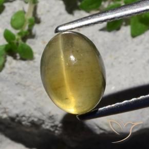 9,17 ctw natürlicher hellgelb Katzenaugen-Apatit, Oval, Lichtdurchlässig