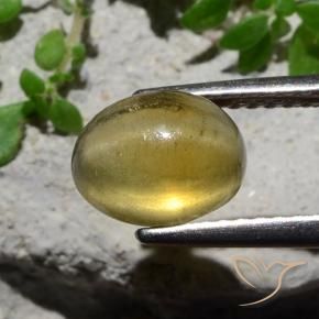 9,17 ctw natürlicher hellgelb Katzenaugen-Apatit, Oval, Lichtdurchlässig