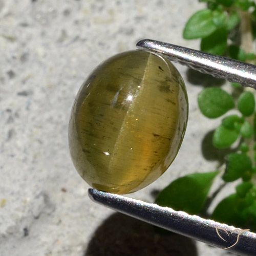 2.16ct Natürlicher Mittelgelb Apatit-Katzenauge, Oval, Lichtdurchlässig