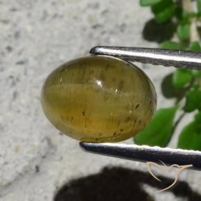 9,17 ctw natürlicher Mittelgelb Katzenaugen-Apatit, Oval, Lichtdurchlässig