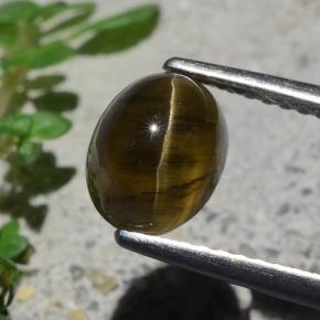 9,17 ctw natürlicher Mittel-Dunkelbraun Katzenaugen-Apatit, Oval Schliff, Lichtdurchlässig