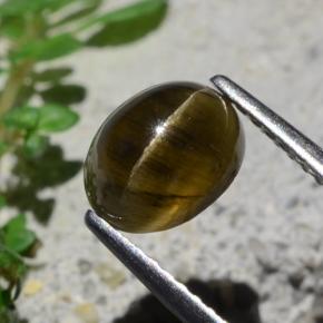 9,17 ctw natürlicher Mittel-Dunkelbraun Katzenaugen-Apatit, Oval Schliff, Lichtdurchlässig