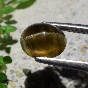 9,17 ctw natürlicher Mittel-Dunkelbraun Katzenaugen-Apatit, Oval Schliff, Lichtdurchlässig