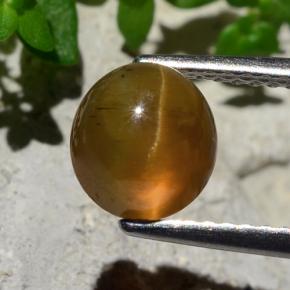 9,17 ctw natürlicher Orange Katzenaugen-Apatit, Rund Schliff, Lichtdurchlässig