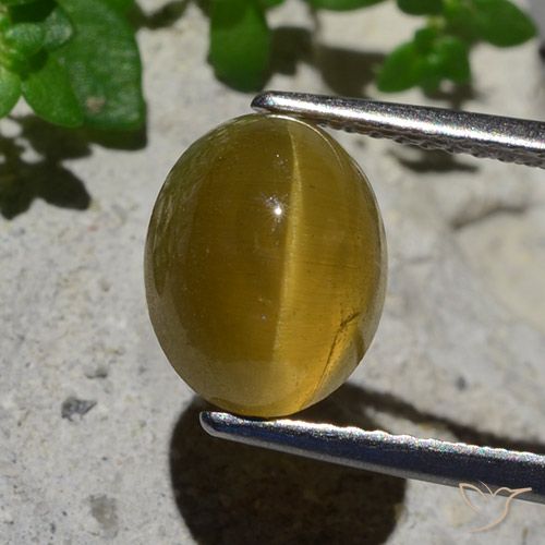 3.87ct Natürlicher Erdiges Gelb Apatit-Katzenauge, Oval, Lichtdurchlässig