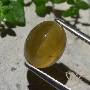 9,17 ctw natürlicher Erdiges Gelb Katzenaugen-Apatit, Oval, Lichtdurchlässig