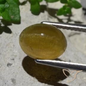 9,17 ctw natürlicher Erdiges Gelb Katzenaugen-Apatit, Oval, Lichtdurchlässig