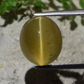 9,17 ctw natürlicher gold-grün Katzenaugen-Apatit, Oval Schliff, Lichtdurchlässig
