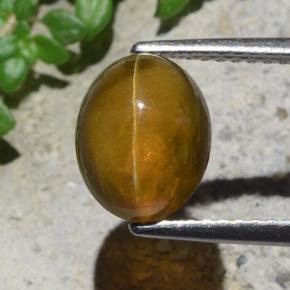 2,93 ctw natürlicher grüner Cat's Eye Apatite, Oval Schliff, Lichtdurchlässig