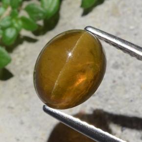 2,93 ctw natürlicher grüner Cat's Eye Apatite, Oval Schliff, Lichtdurchlässig
