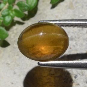 2,93 ctw natürlicher grüner Cat's Eye Apatite, Oval Schliff, Lichtdurchlässig