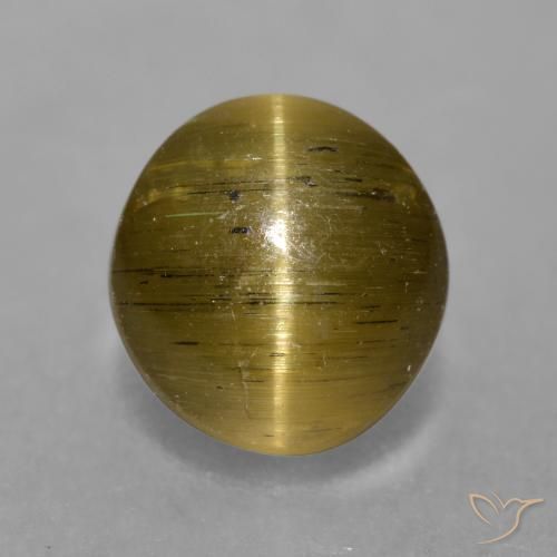 3.02ct Natürlicher Mittel braun Katzenaugen-Apatit, Runden, Lichtdurchlässig