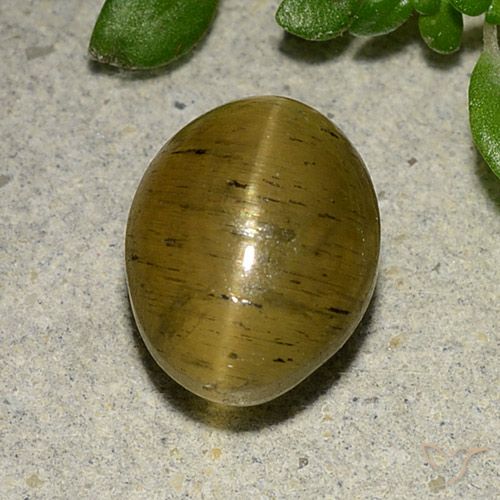 4.09ct Natürlicher gelb-braun Apatit-Katzenauge, Oval, Lichtdurchlässig
