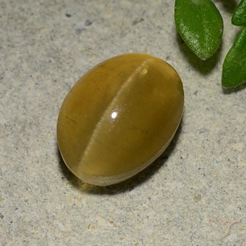 3.14ct Natürlicher gelb-braun Apatit-Katzenauge, Oval, Lichtdurchlässig