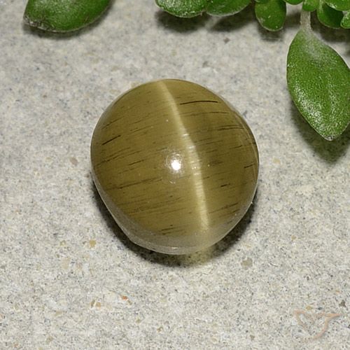2.70ct Natürlicher Mittelgelb Apatit-Katzenauge, Oval, Lichtdurchlässig