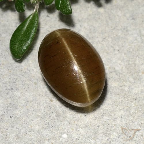 9,17 ctw natürlicher Warmes Braun Katzenaugen-Apatit, Oval Schliff, Lichtdurchlässig