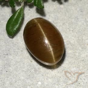 9,17 ctw natürlicher Warmes Braun Katzenaugen-Apatit, Oval Schliff, Lichtdurchlässig