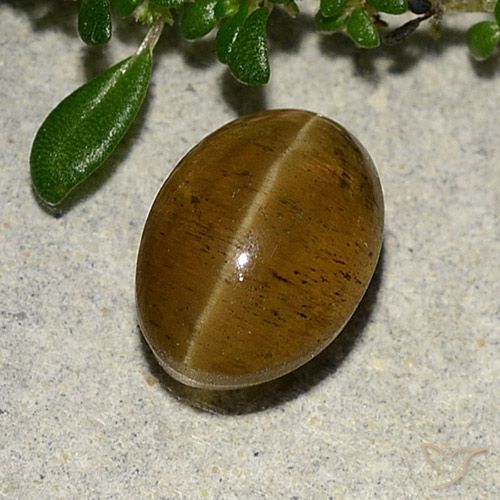 3.10ct Natürlicher Warmes Braun Katzenaugen-Apatit, Oval, Lichtdurchlässig