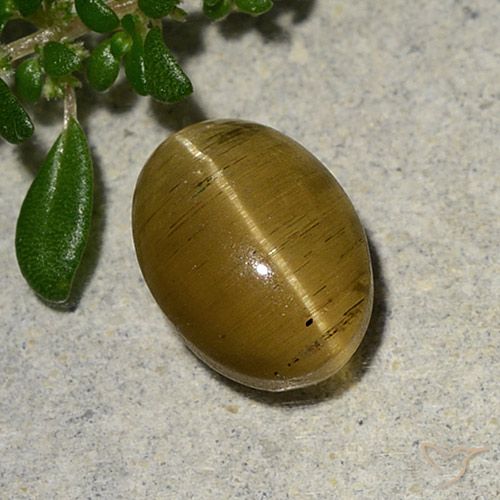 2.46ct Natürlicher Bräunliches Gelb Apatit-Katzenauge, Oval, Lichtdurchlässig