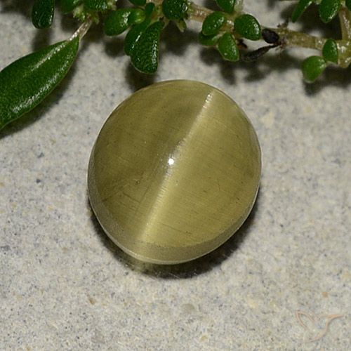 3.09ct Natürlicher Erdiges Gelb Apatit-Katzenauge, Oval, Lichtdurchlässig