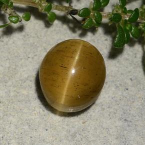2,60 ctw natürlicher goldener Cat's Eye Apatite, Oval Schliff, Lichtdurchlässig