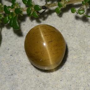2,60 ctw natürlicher goldener Cat's Eye Apatite, Oval Schliff, Lichtdurchlässig