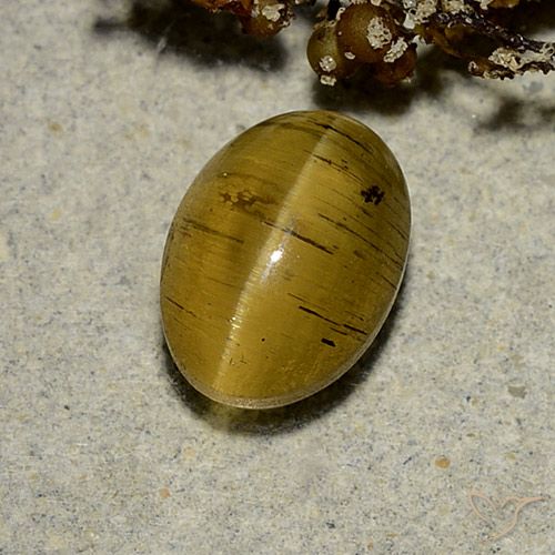 2.63ct Natürlicher Erdiges Gelb Apatit-Katzenauge, Oval, Lichtdurchlässig