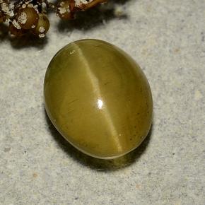 9,17 ctw natürlicher gold-grün Katzenaugen-Apatit, Oval Schliff, Lichtdurchlässig