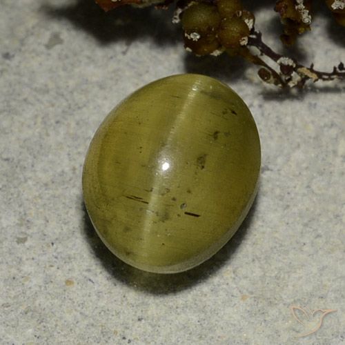 3.68ct Natürlicher Neutrales Gelb Apatit-Katzenauge, Oval, Lichtdurchlässig
